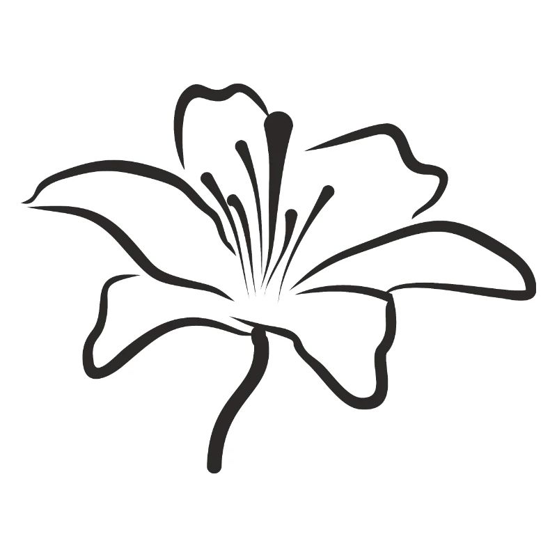 Bloomyvitae - Blüte - schwarz