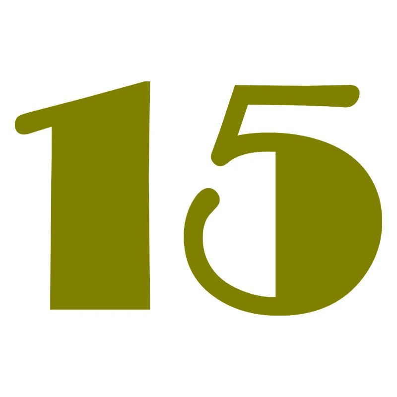15. 15 ANS. 15e ANNIVERSAIRE. ANNIVERSAIRE 15 ANS.