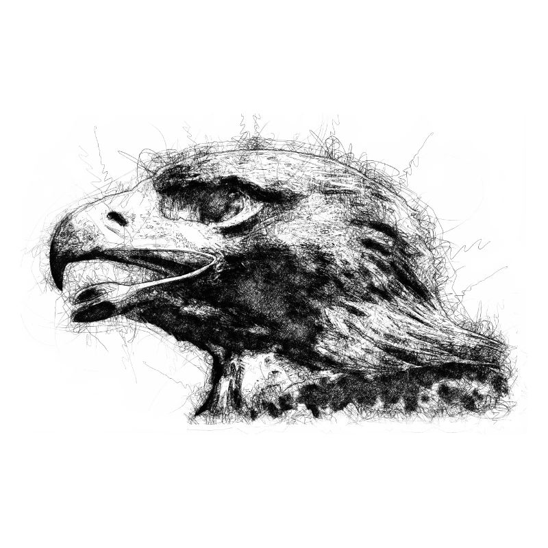 Tête d’aigle