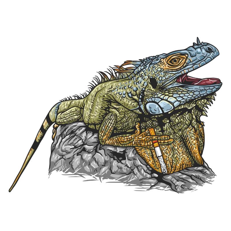 Iguana // Illustration