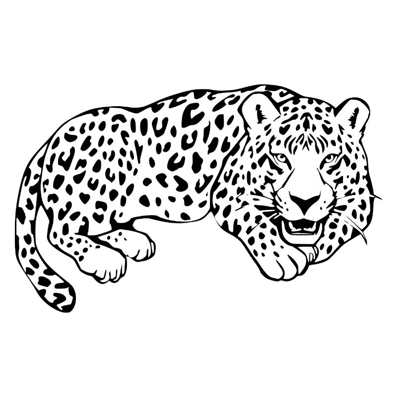 Leopard Black Lepard Pattern T-shirt Gift