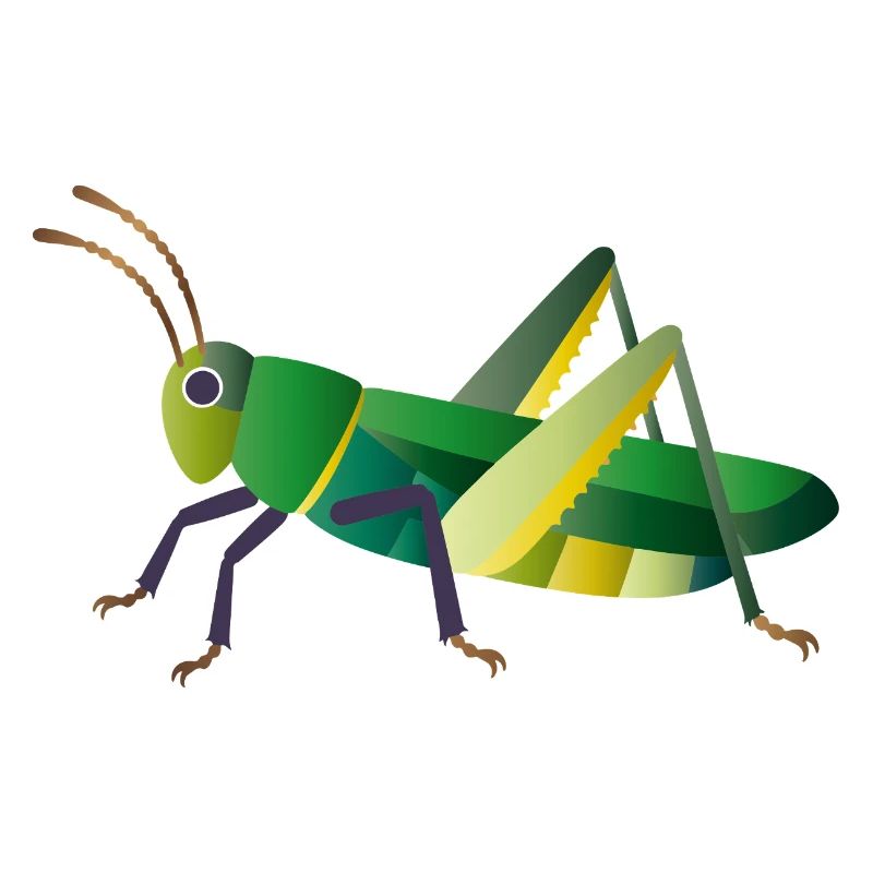 Green grasshopper nature style