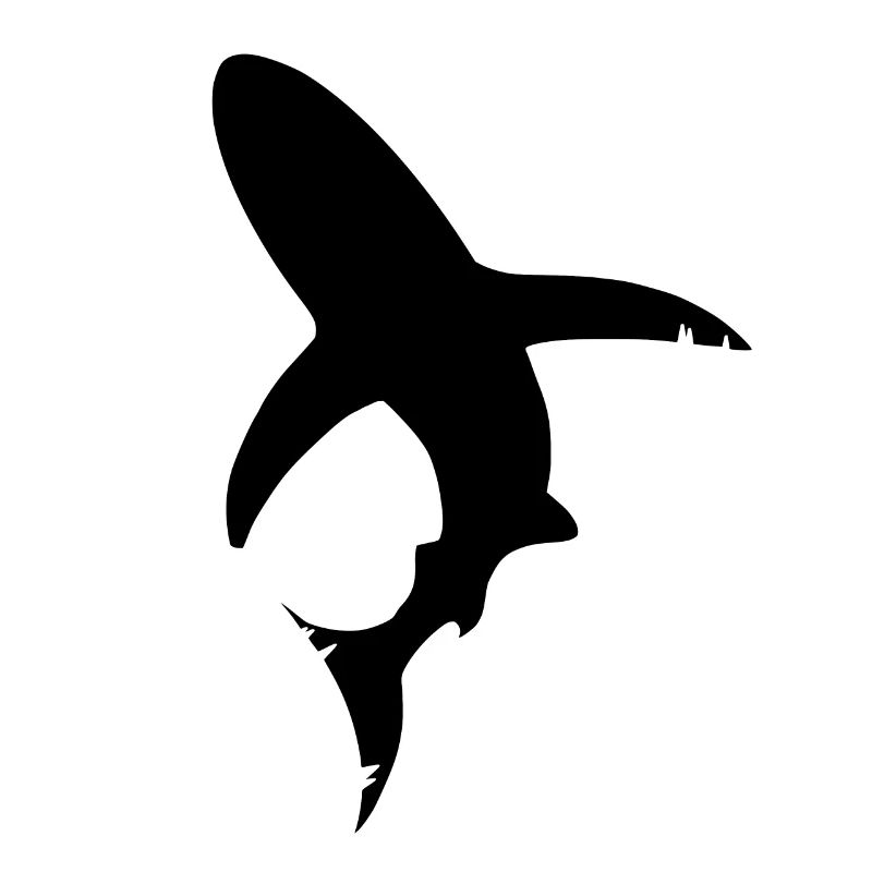 Silhouette de poisson requin