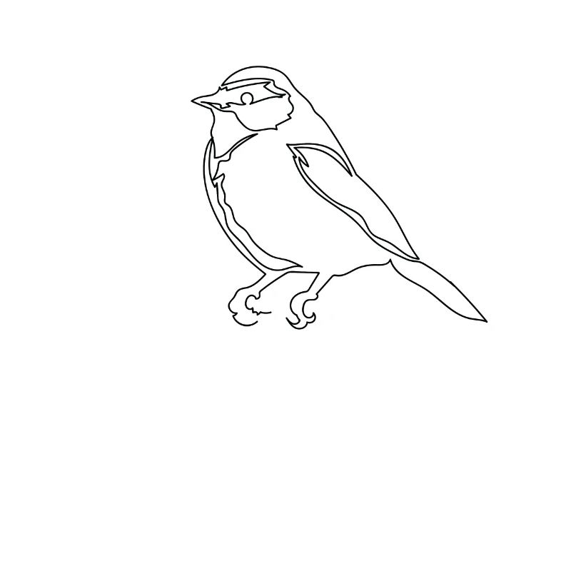 One Line Drawing Vogel Spatz Single Art
