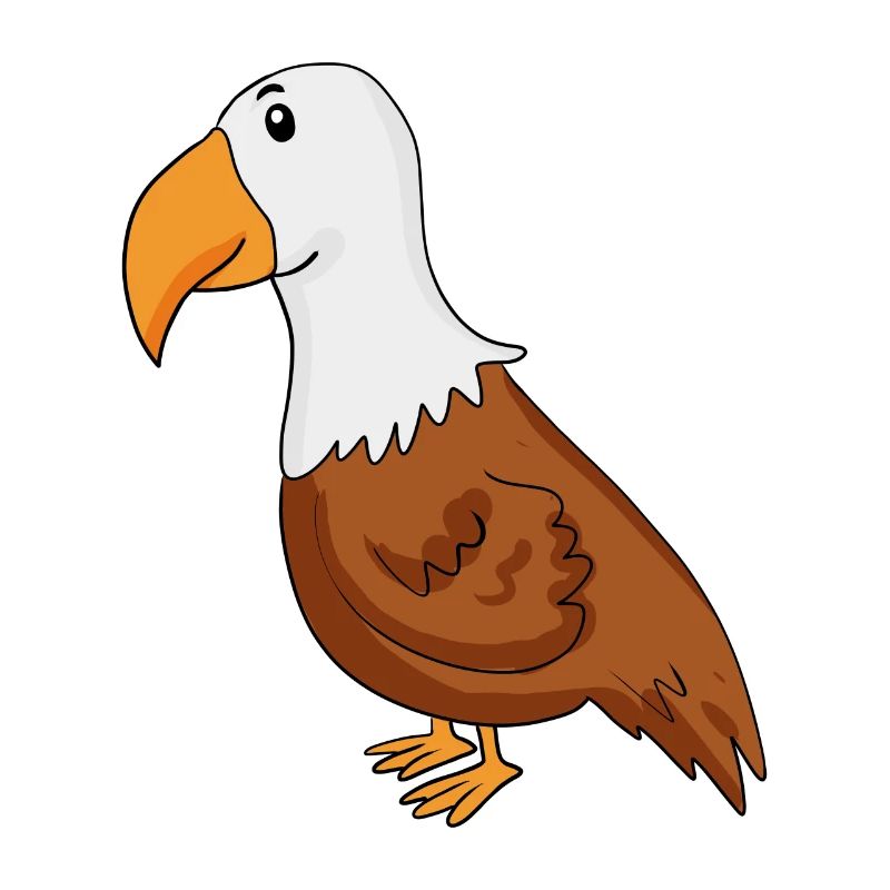 Aigle
