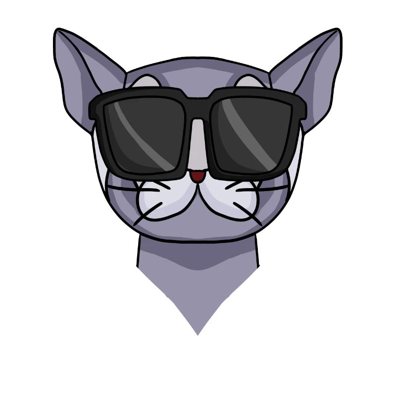 Britisch Kurzhaar Katze mit Sonnenbrille
