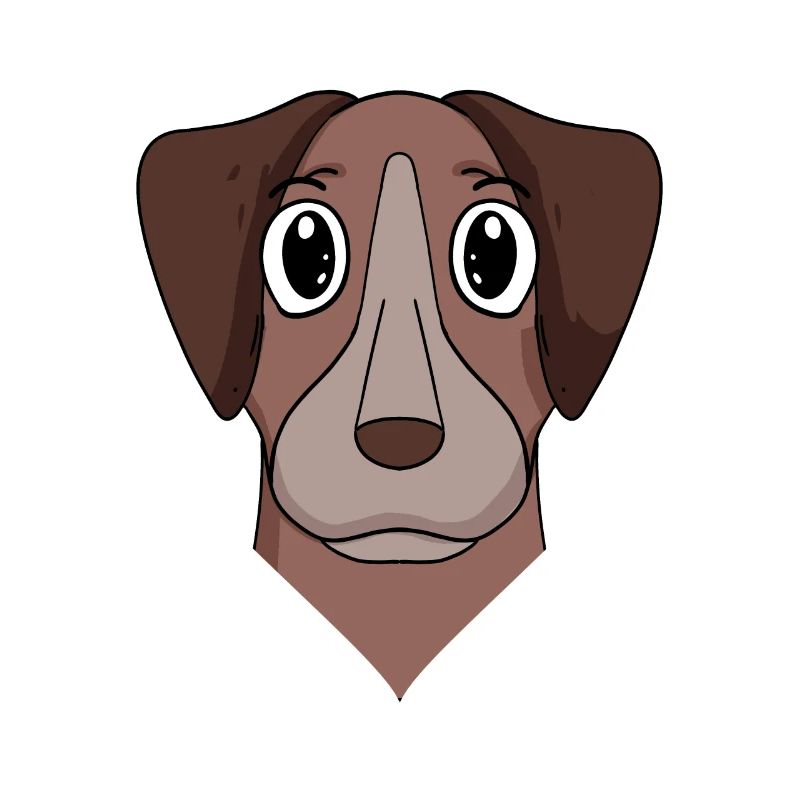 Pointer Chien Race de Chien