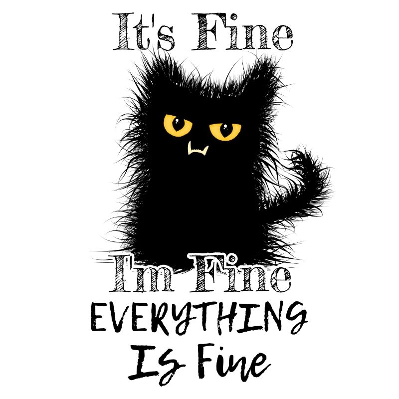 I'm Fine Everything Is Fine Wuschelige Katze