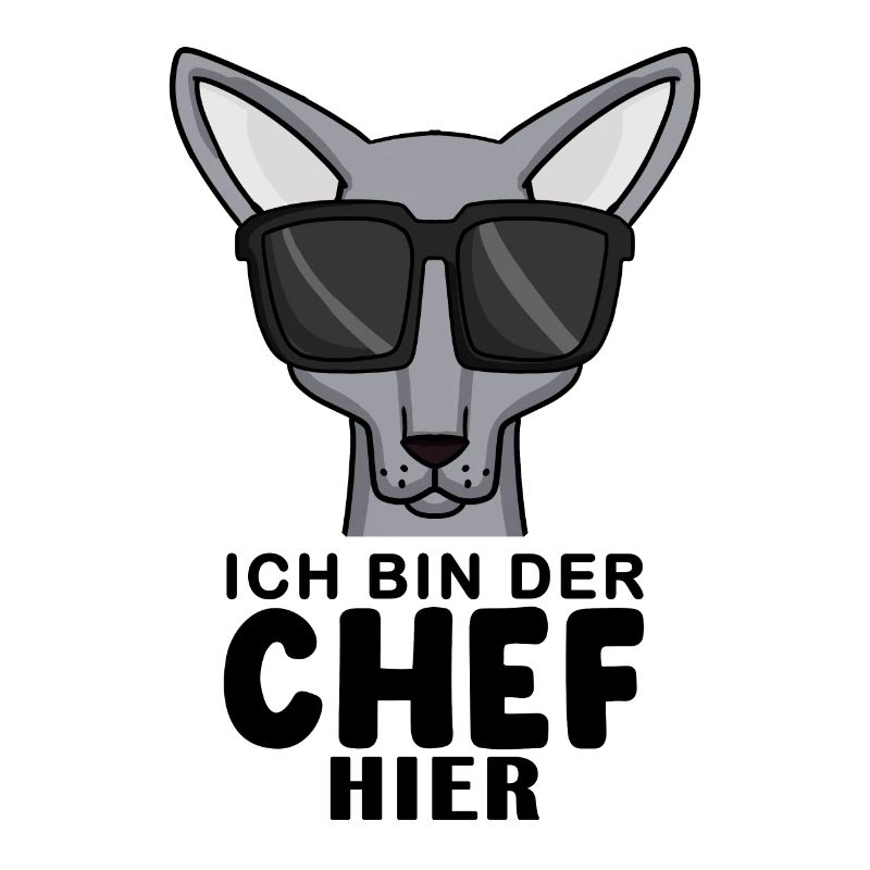 coole Katze - Sphynx Katze Spruch