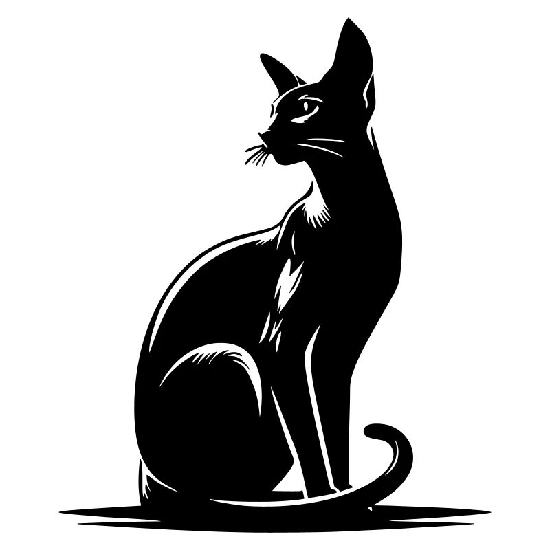 Orientalisch Kurzhaar Katze