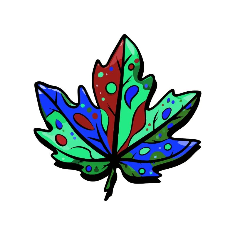 Leaf Autumn Colorful Maple