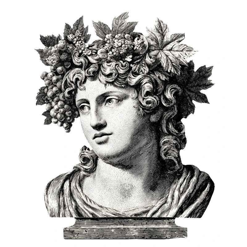 Buste antique Bacchus – Gravure classique