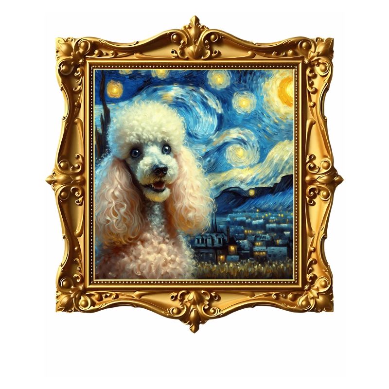 Nuit étoilée de caniche