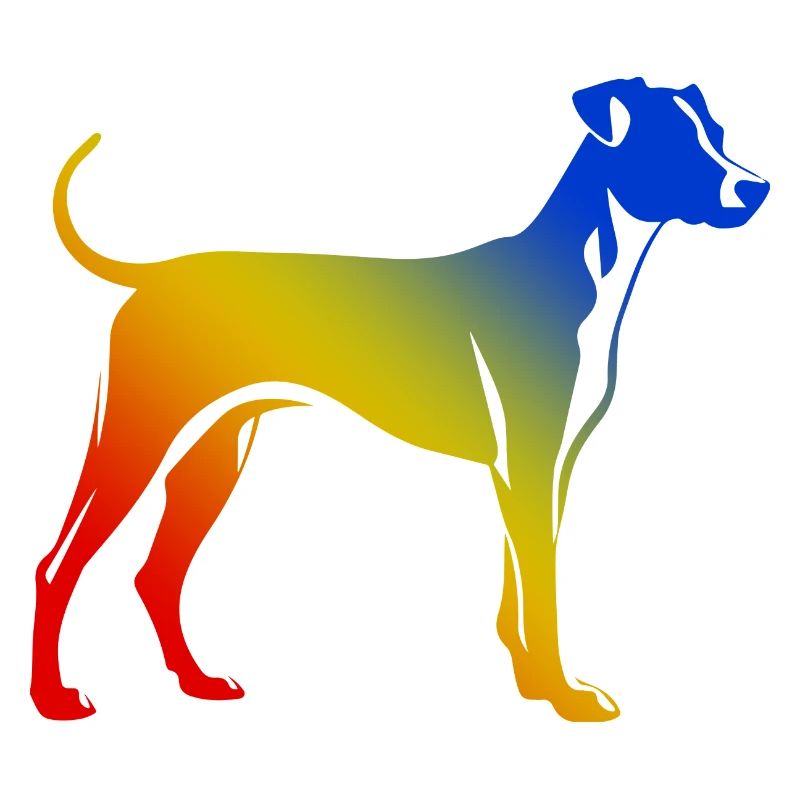 Whippet Chien Coloré
