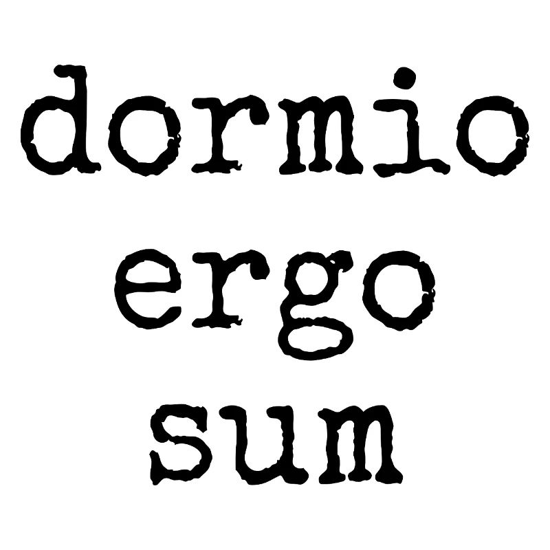 dormio ergo sum - ich schlafe also bin ich