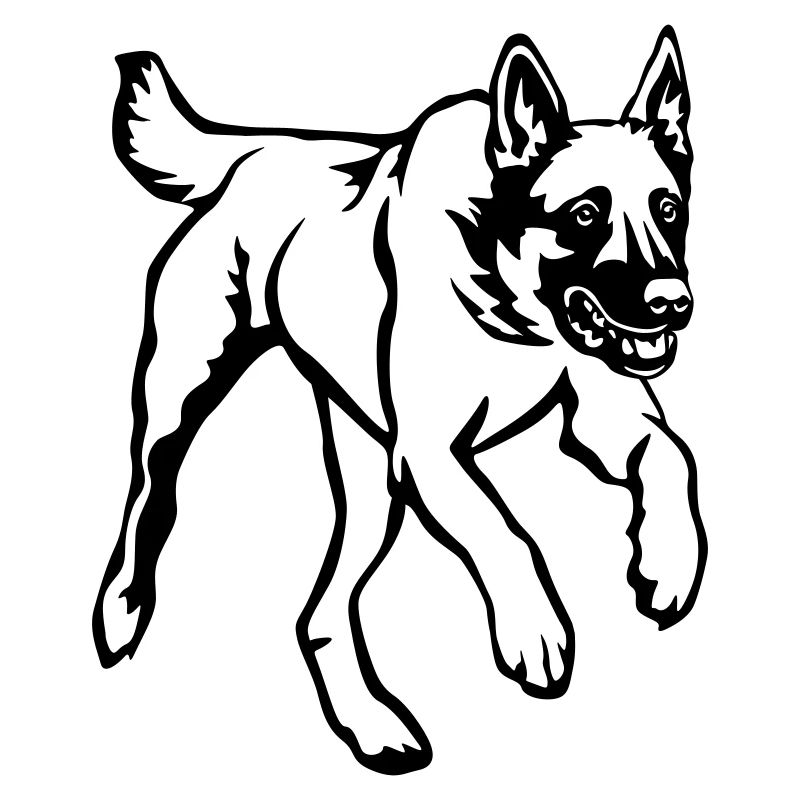Malinois