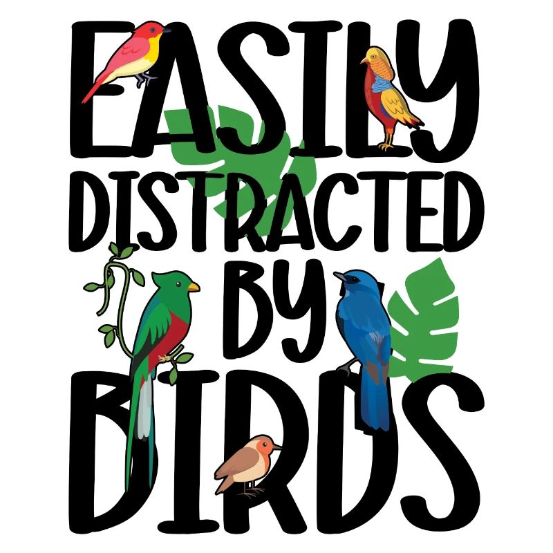 Facilement distrait par les oiseaux