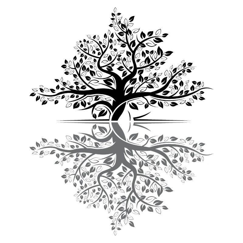 Tree Reflection Forest Nature Protection Outdoor Love
