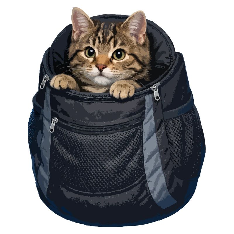 Cat in a poke