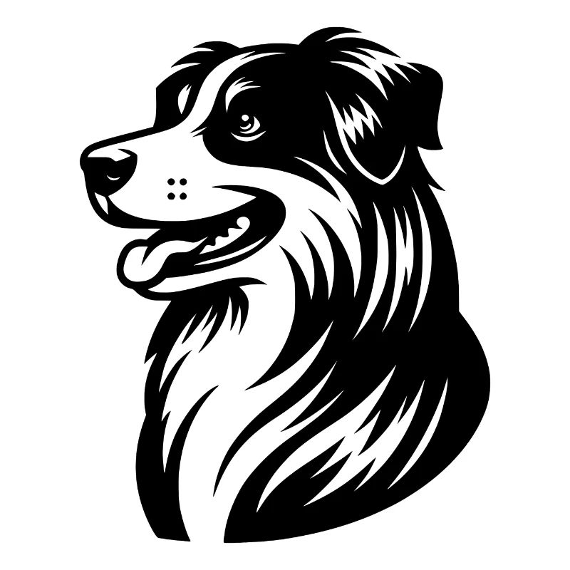 Knuffiger Australian Shepherd Hund Vierbeiner