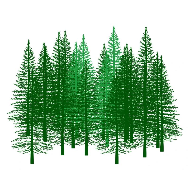 vert, forêt, forêts, forestier, chasseur, sapin, sapin, forêts
