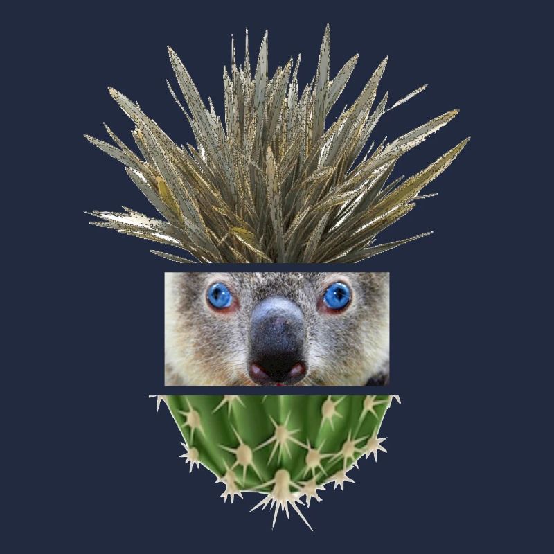 Koala Azur Cactus Collage