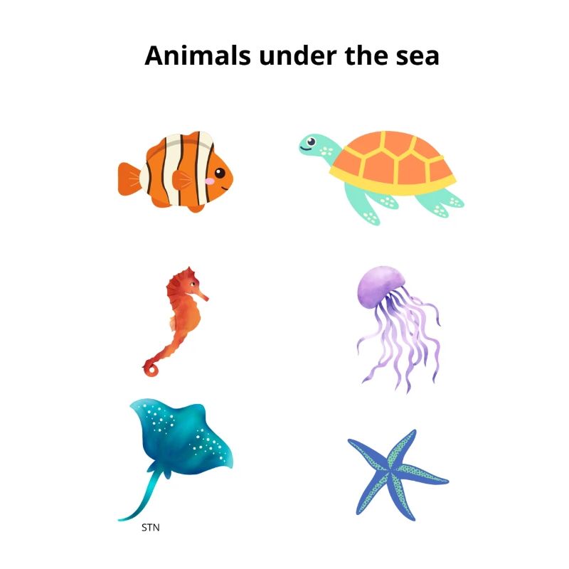 Playful Ocean Crew