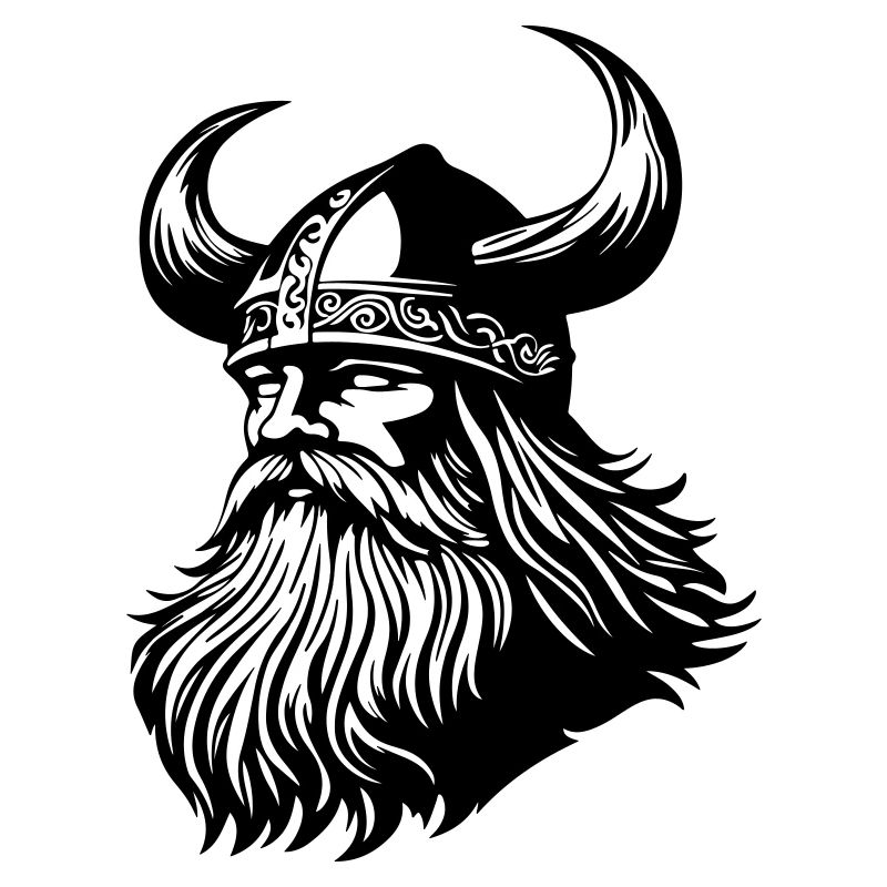 Wikinger Krieger Odin