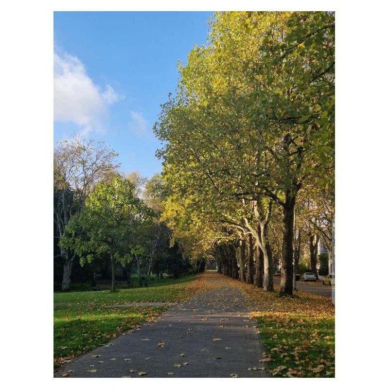 Autumn path through Lauballee