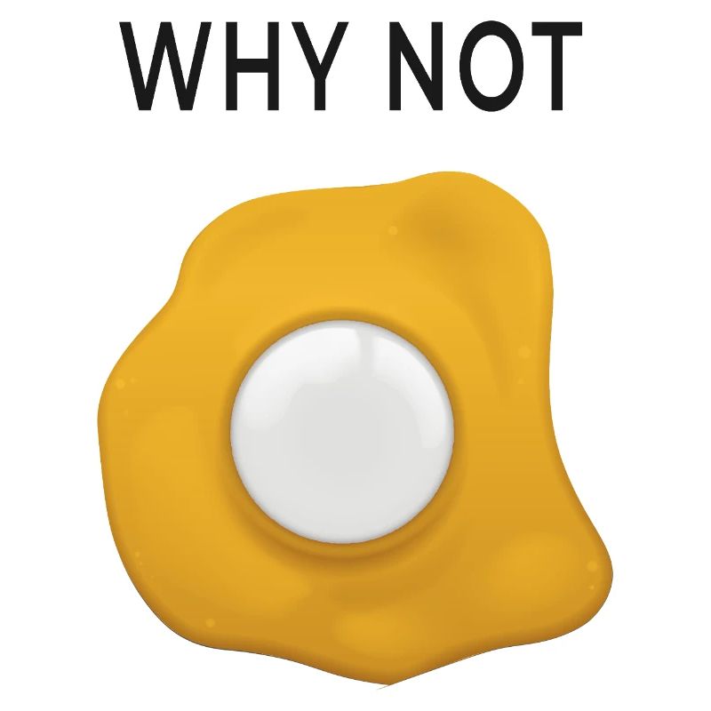 Why Not  Spiegelei neu denken