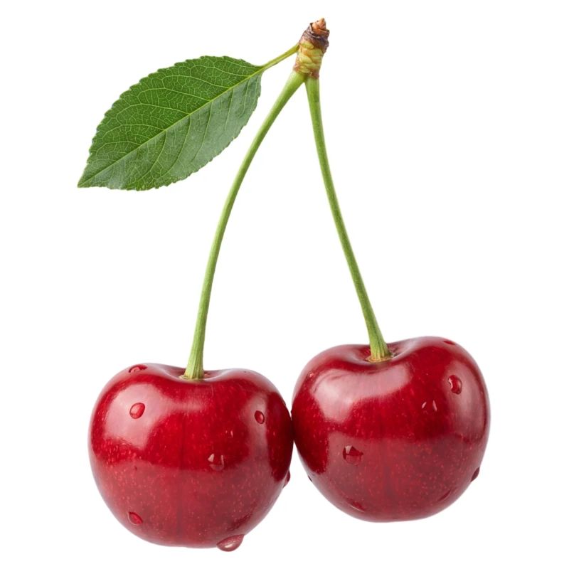 Kirsche Kirschen Cherry Shirt, sweat à capuche, short