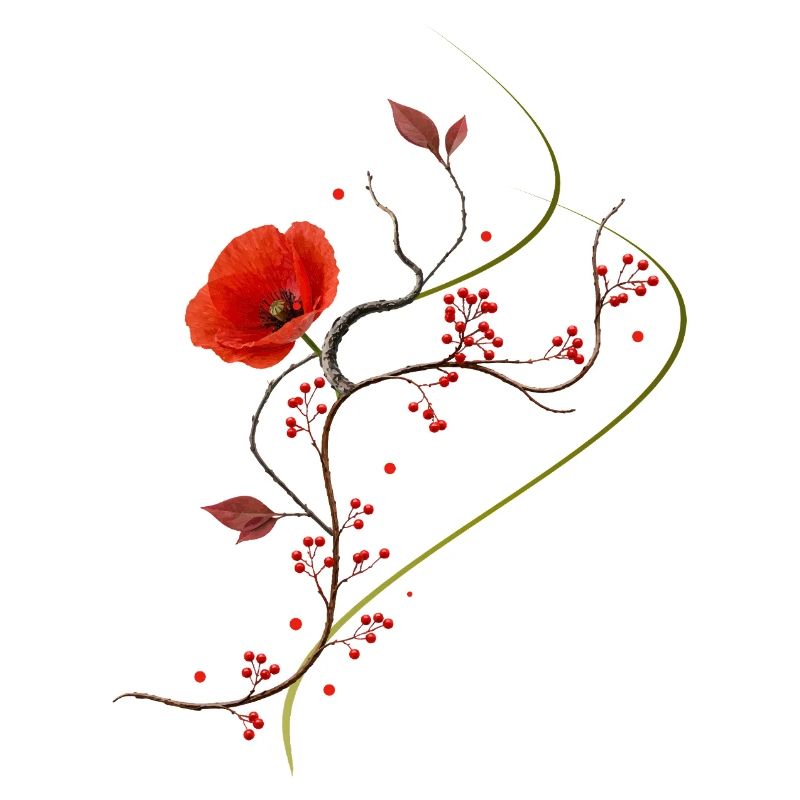 Ikebana Collage avec style zen de pavot