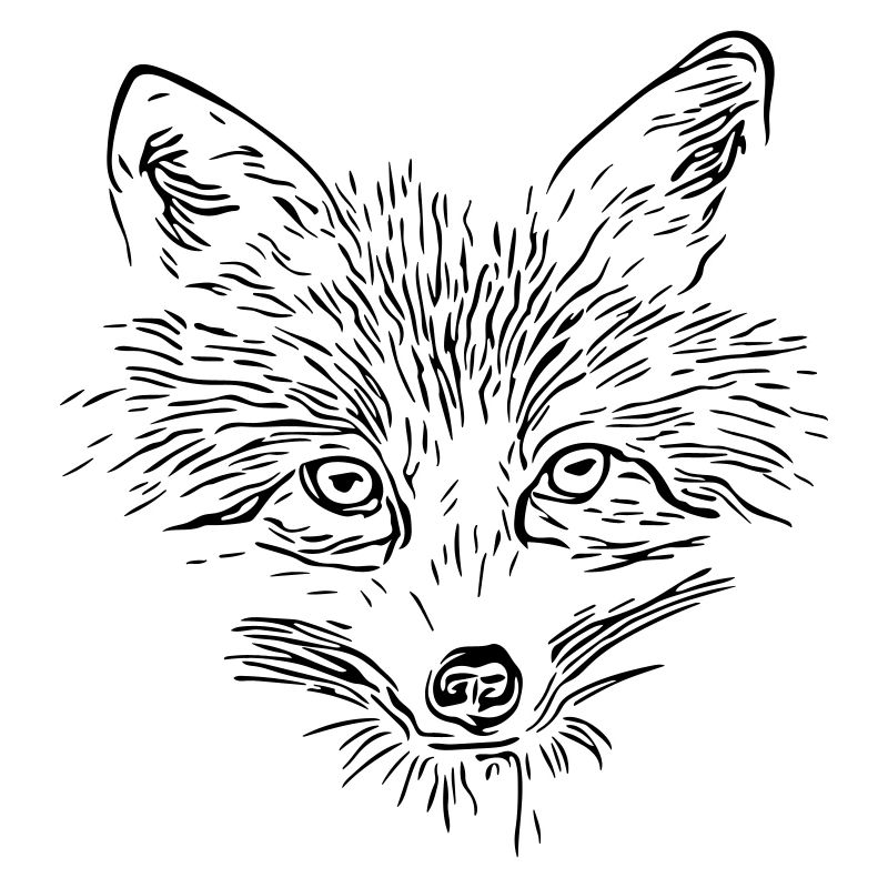 Fuchs Gesicht - Fox Face