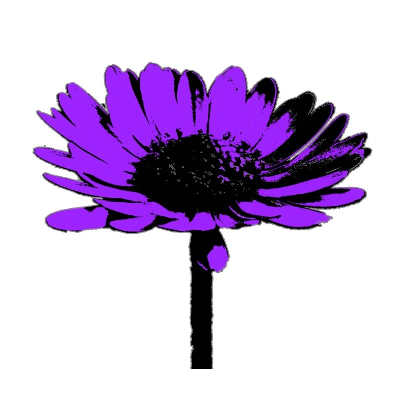 Blume