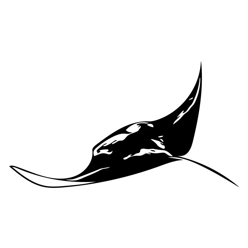 Flying manta