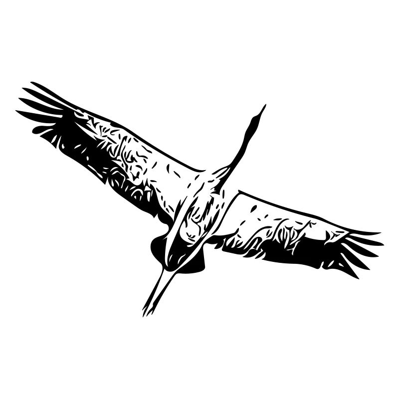 Héron oiseau en vol