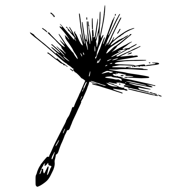 Pusteblume