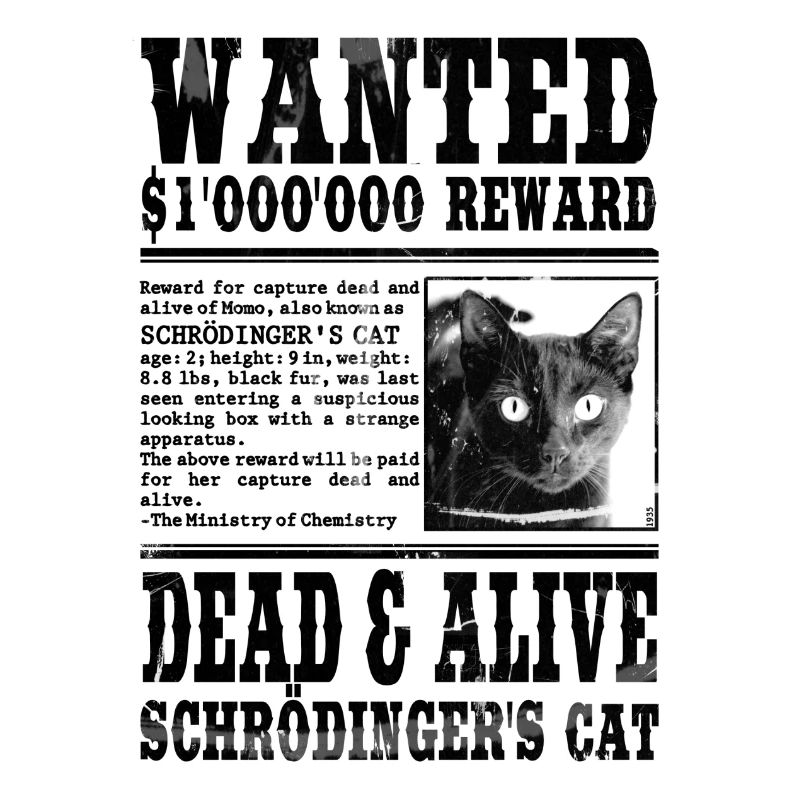 le chat de schrödinger noir