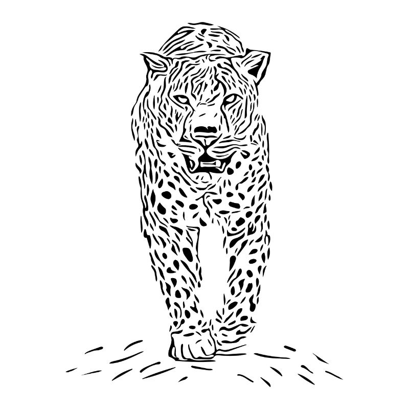 Léopard vintage
