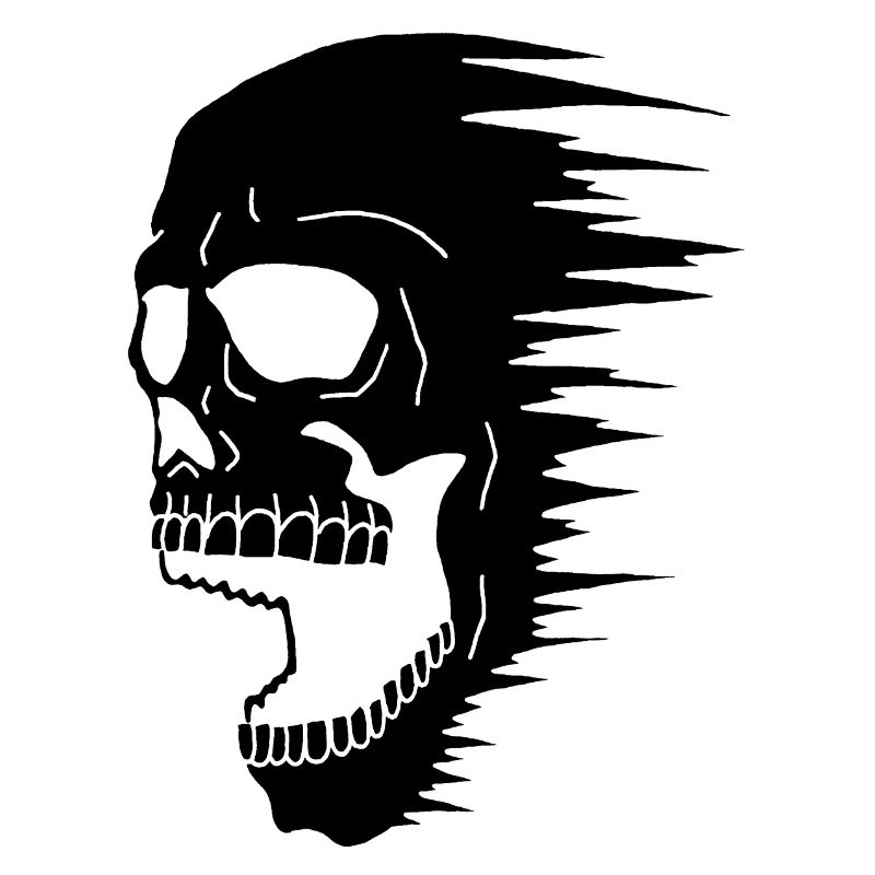 Black Skull and Speed