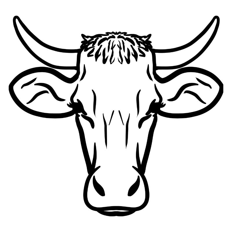 Kuh schwarz