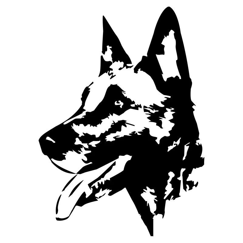 Tête malinoise