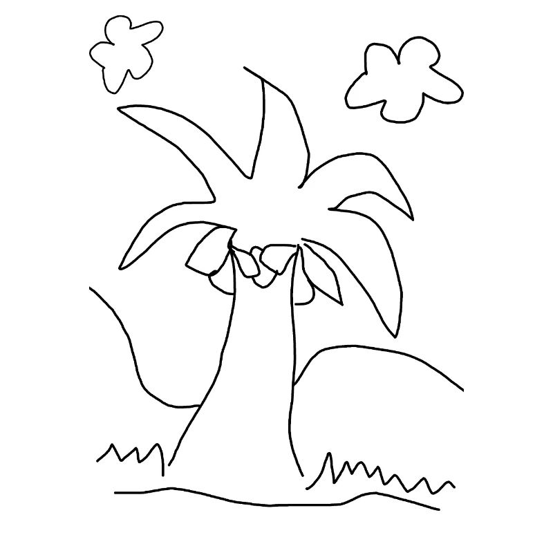 cocotier