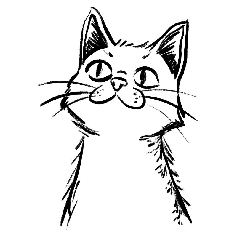 Curious Cat - Hand drawn sketch