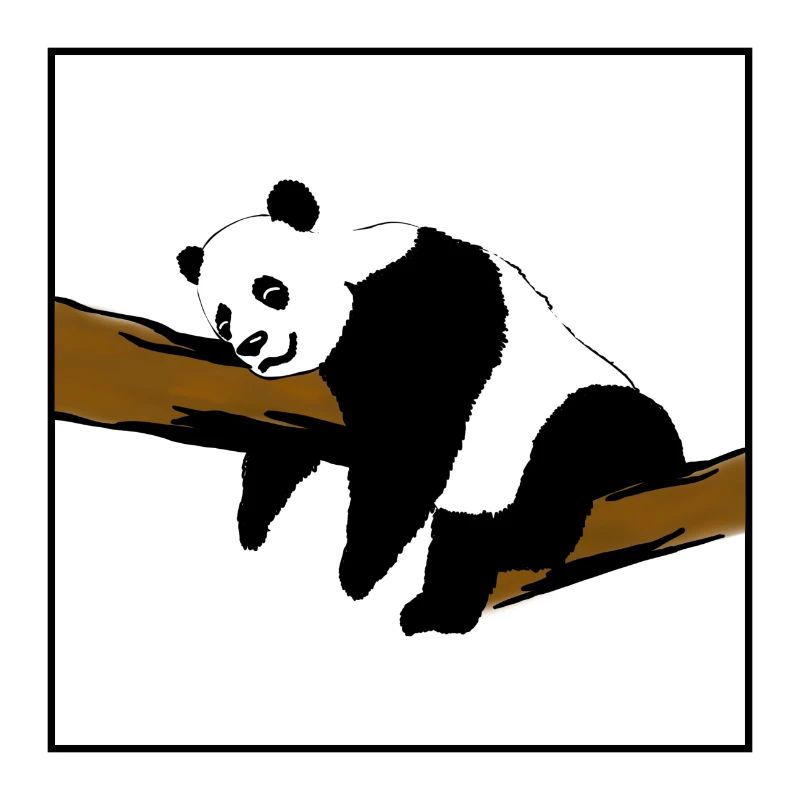 Panda ohne Hintergrund