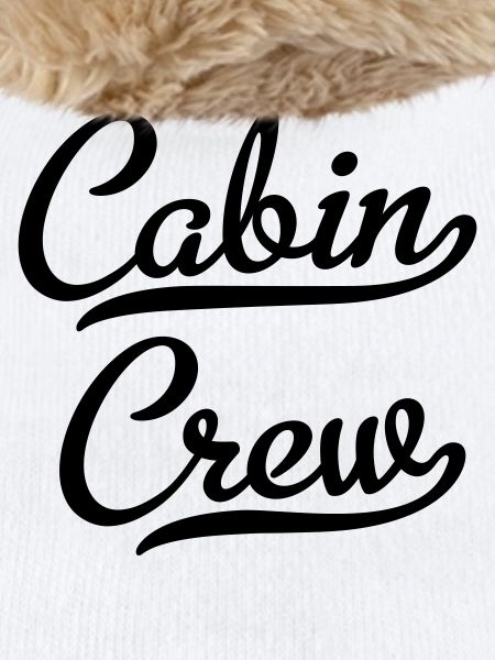 Cabin Crew