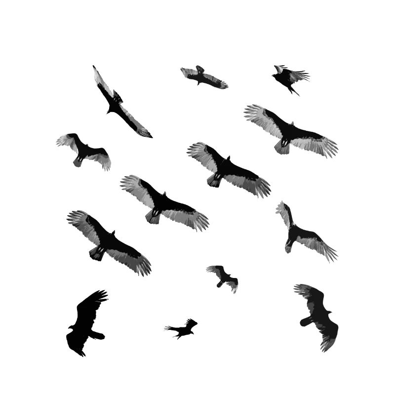 les oiseaux