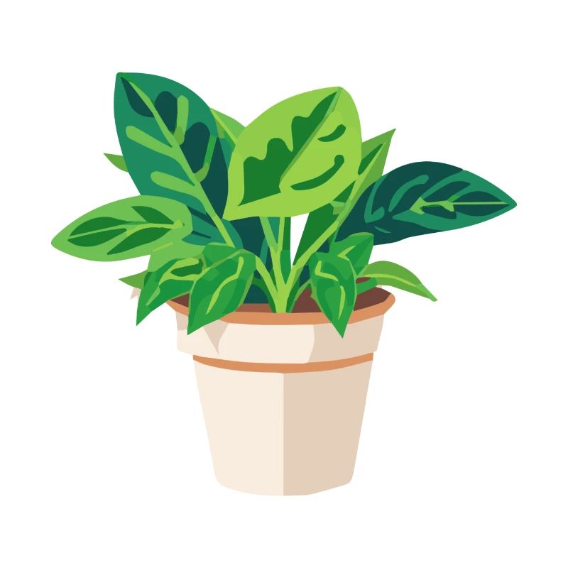 Planter des feuilles vertes en pot