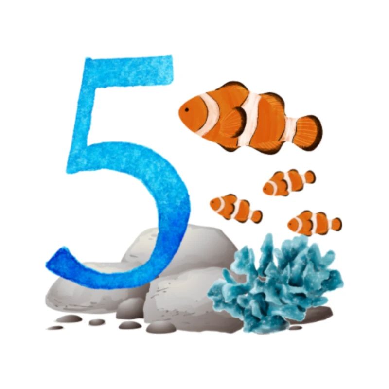 5 mois 5 mois
