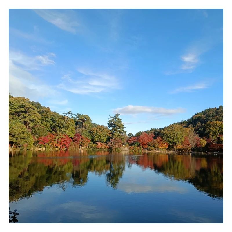 Blick auf den See
